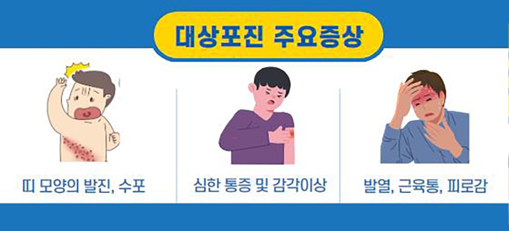 중원구보건소-성남시 대상포진 주요증상 안내 이미지.jpg