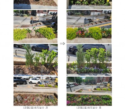 건축과-성남시 은행2동 안전마을 유지보수 전후 사진.jpg