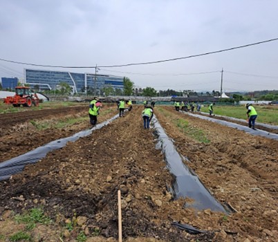 고용과-성남시 지역공동체 일자리 사업 중 참가자들이 농사체험장 조성하는 모습.jpg width: 100%; height : 150px