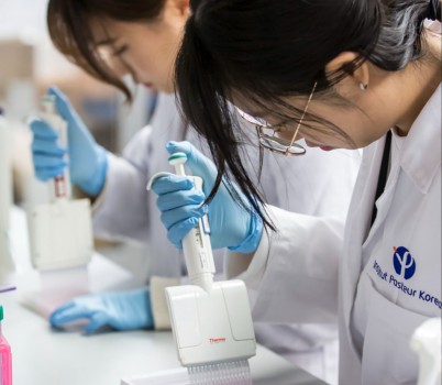 미래산업과-성남시 하계 대학생 바이오 인턴십 프로그램에 참여하고 있는 대학생들.jpg width: 100%; height : 150px