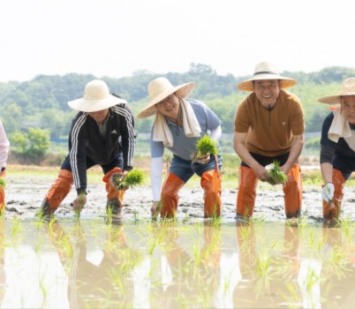 2024년 경기미 모내기 행사(1).jpg