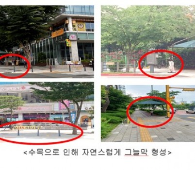 111.jpg width: 100%; height : 150px