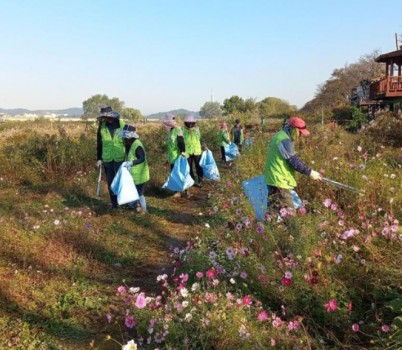 고용과-성남시 지역공동체 일자리 사업 중 참가자들이 습지탐방로 정비하는 모습.jpg