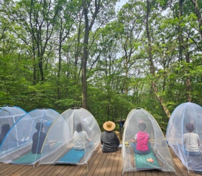 녹지과-성남시 산림복지 프로그램 운영(산림 치유).jpg width: 100%; height : 150px