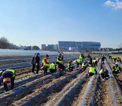 고용과-성남시 지역공동체 일자리 사업 중 참가자들이 농사체험장 조성 중인 모습.jpg width: 100%; height : 150px