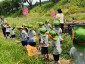 4. 환경정책과-성남지역 어린이집 원아들이 탄천 태평습지생태원에서곤충을 채집·관찰하고 있다(6월 17일 촬영분).jpg