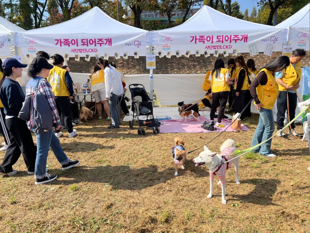 농업기술센터-지난해 10월 12일 분당구 야탑동 탄천 다목적광장에서 열린 ‘성남시 반려동물 페스티벌’ 행사 때 유기동물 홍보 부스.jpg