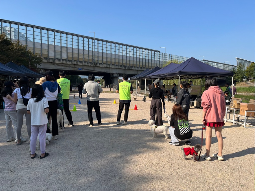 농업기술센터-지난해 10월 12일 분당구 야탑동 탄천 다목적광장에서 열린 ‘성남시 반려동물 페스티벌’ 행사 때 주인과 함께하는 장애물 경기.jpg