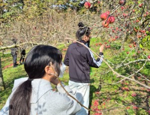 수정유스센터, 중등방과후아카데미‘아리솔’주말체험활동 운영 (1).jpg