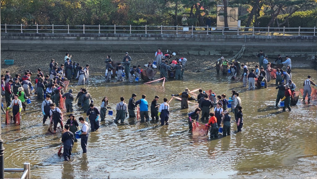 환경정책과-11월 4일 성남시와 ESG 환경분야 상생 협업 기업 ·기관 11곳의 임직원 150명이 중앙공원 내 분당호에서 생태계 교란 유해 외래어종 퇴치 활동을 벌이고 있다.jpg