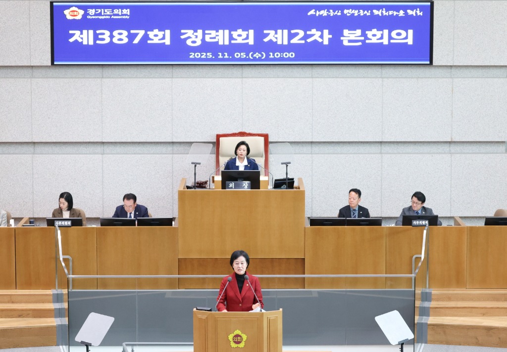 251105 박명숙 의원, 도시계획도로 안전은 빗물받이에서 시작된다... 도의 선제적 역할 촉구 (2).jpg