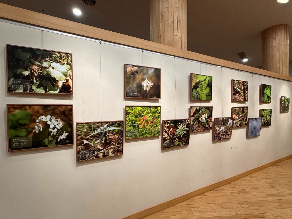 기후변화+취약식물+사진전시회+(3).jpeg