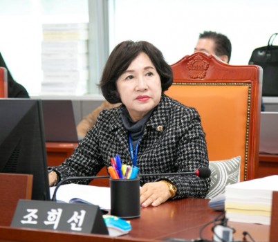 251117 조희선 의원. DMZ다큐영화제 용역 구조. 도내 기업 중심으로 재편해야.jpg width: 100%; height : 150px