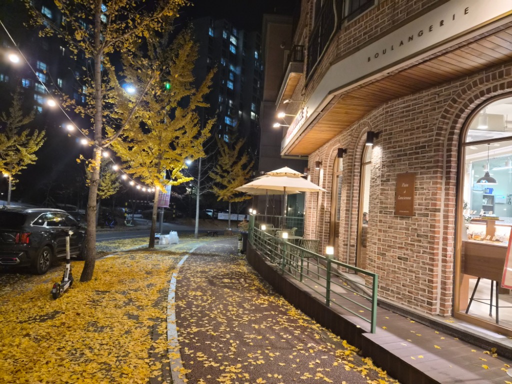 (일부구간공사전)가로수 및 자전거 도로 유지.jpg